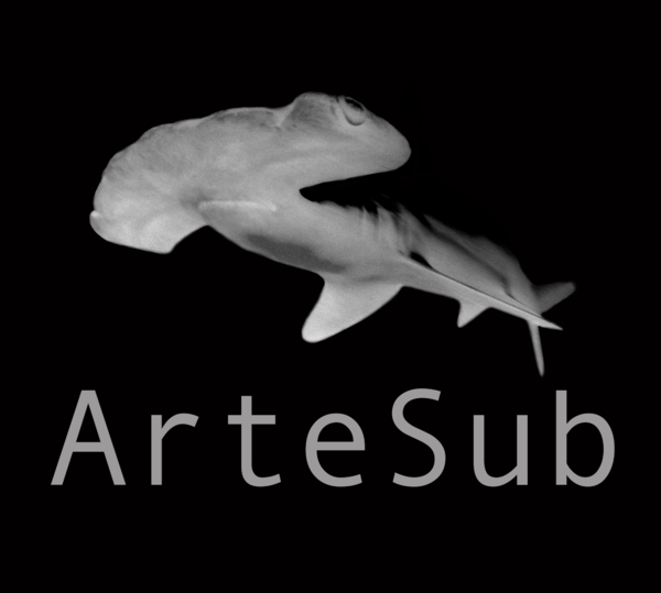 (c) Artesub.com