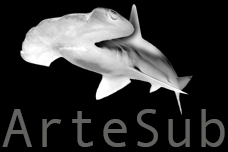 Artesub   - Artist Website